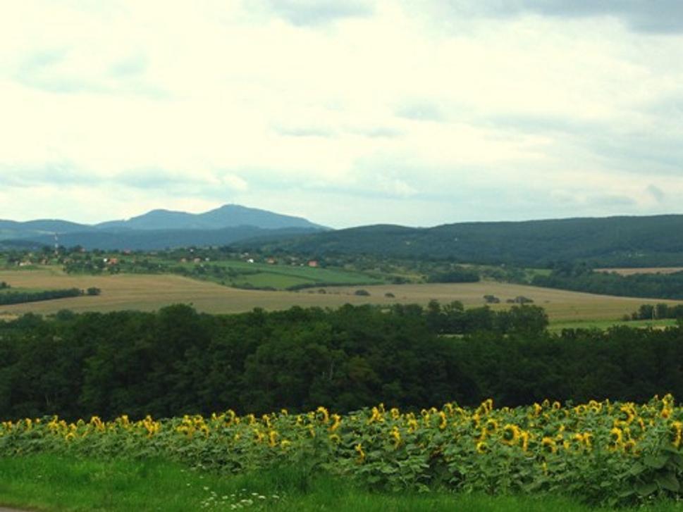 Obrázok blogu