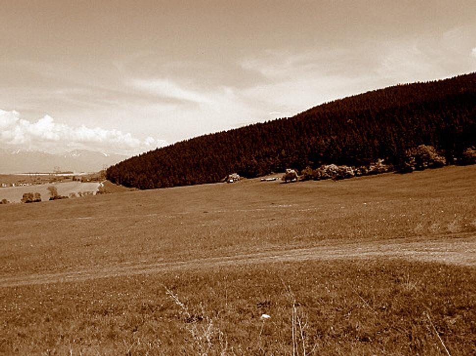 Salas, v pozadi Tatry