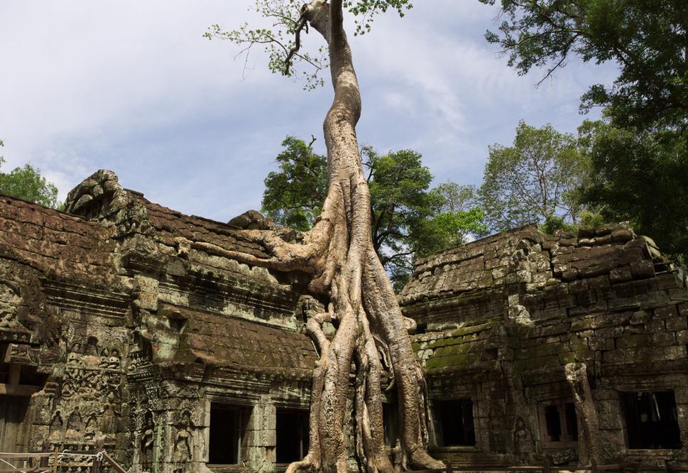 Ta Prohm Chrám
