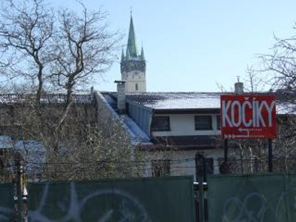 Obrázok blogu