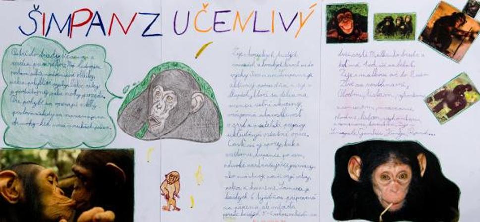 Obrázok blogu