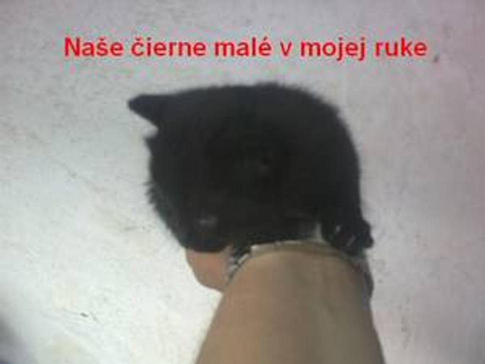 Obrázok blogu