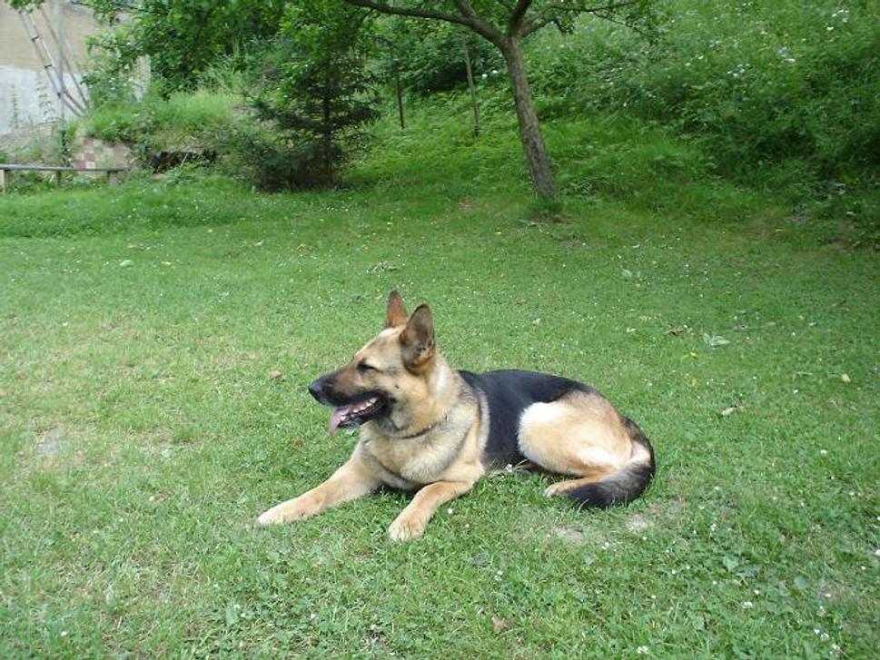 Obrázok blogu