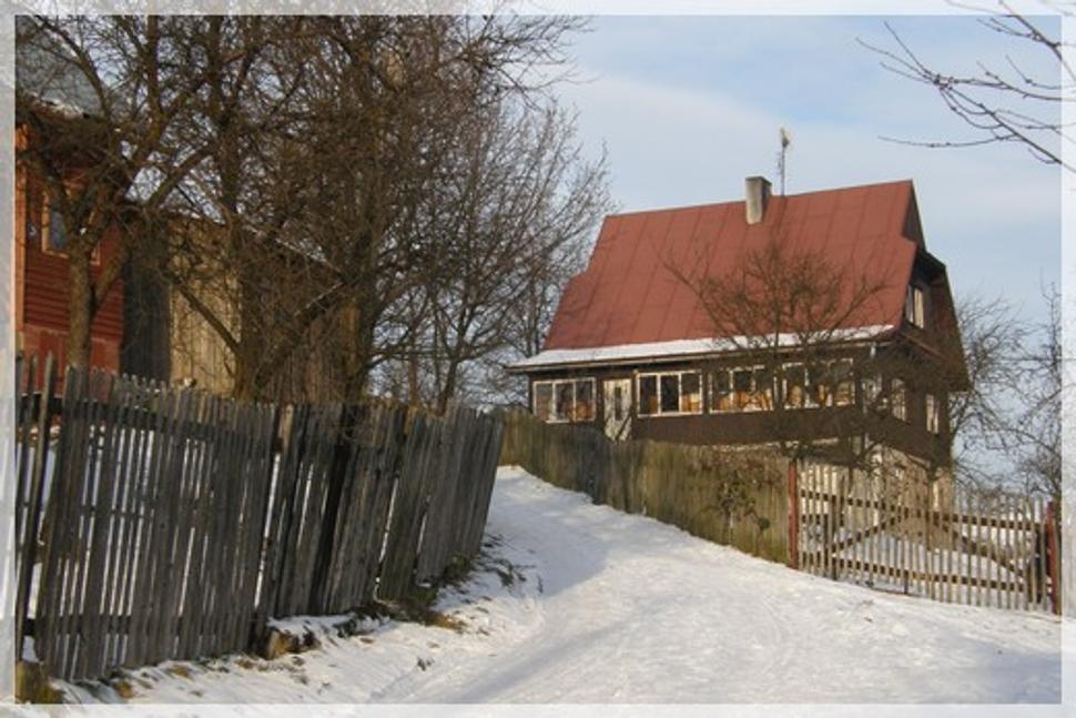 hrčava