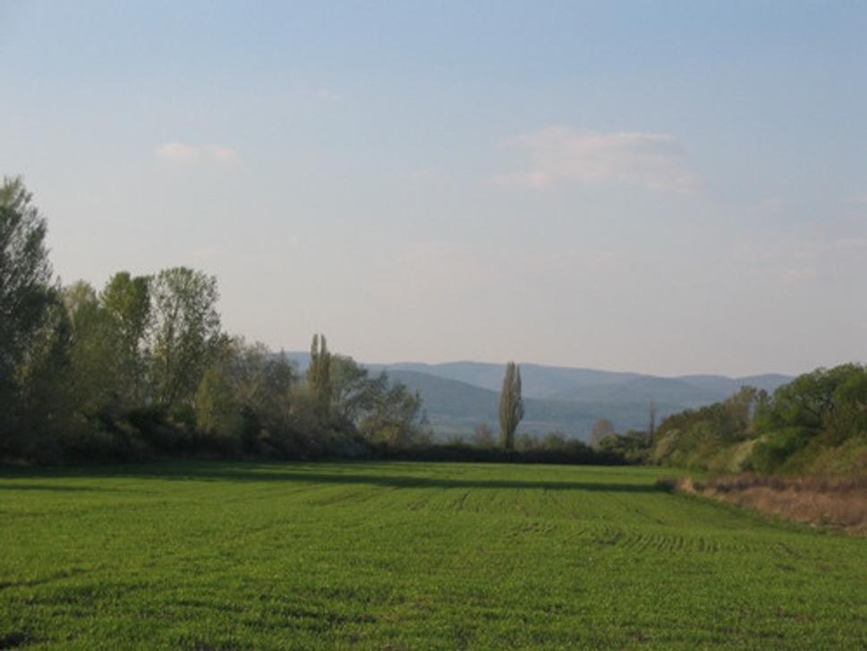 Obrázok blogu
