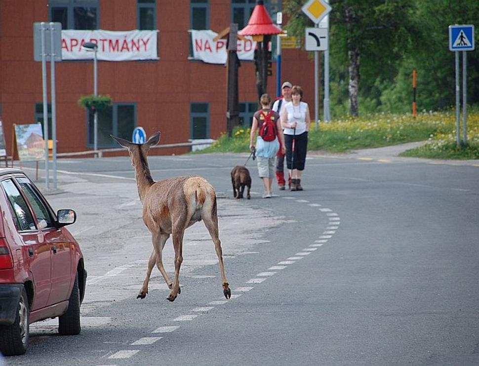 Obrázok blogu