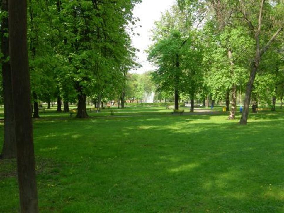 Obrázok blogu