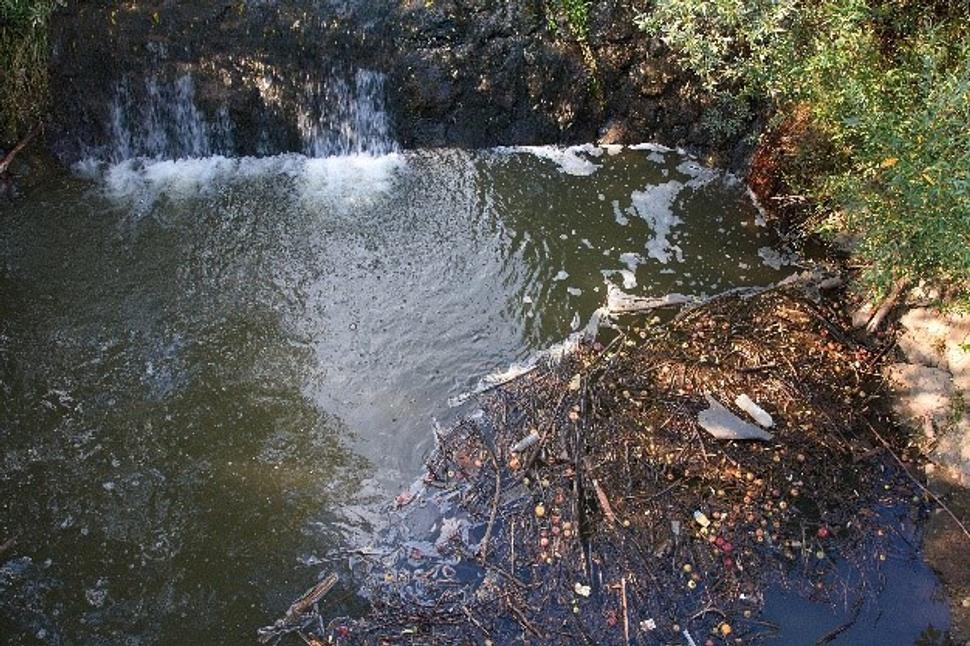 Bazén pod stupňom v Tovarskom potoku, kde deti a mládež kedysi rukami a do sieťky chytali pstruhy.