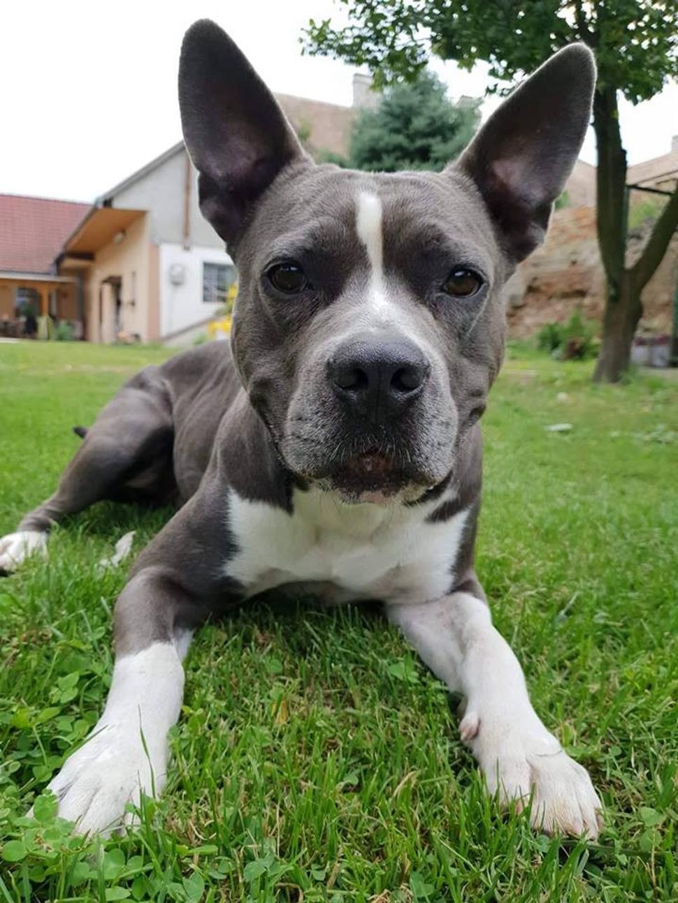Obrázok blogu