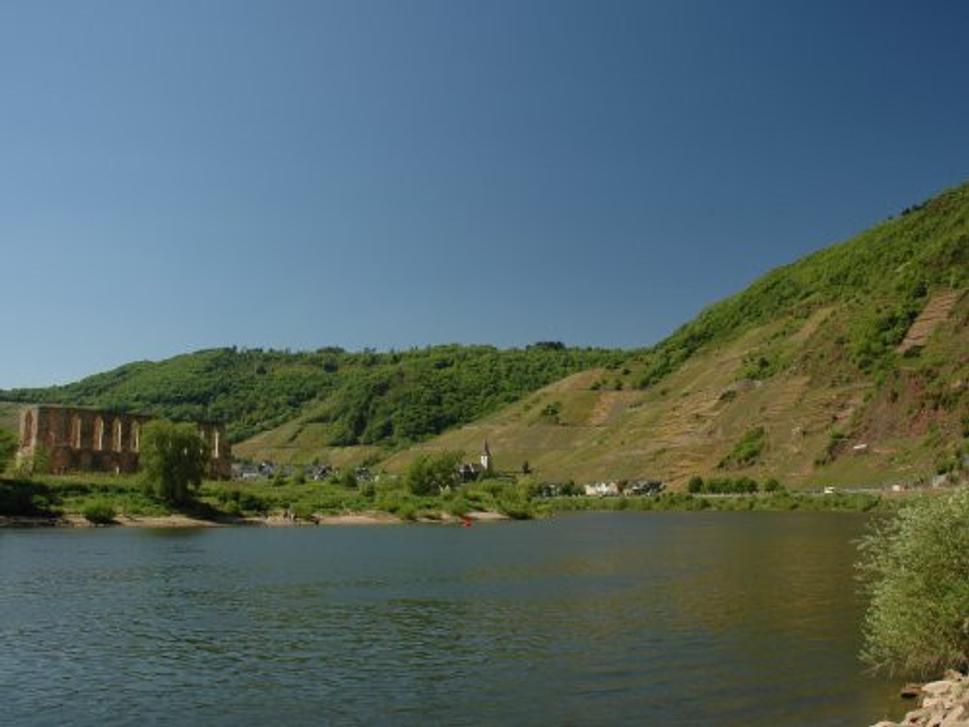 Obrázok blogu