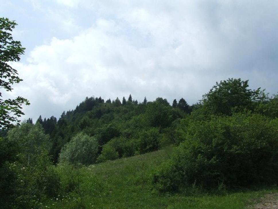 Obrázok blogu