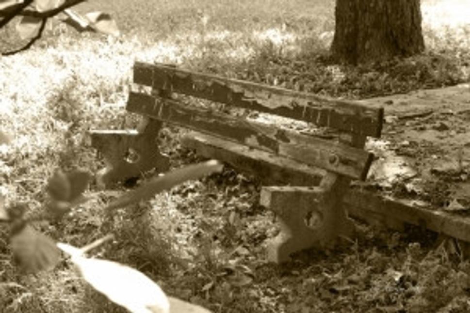 Obrázok blogu