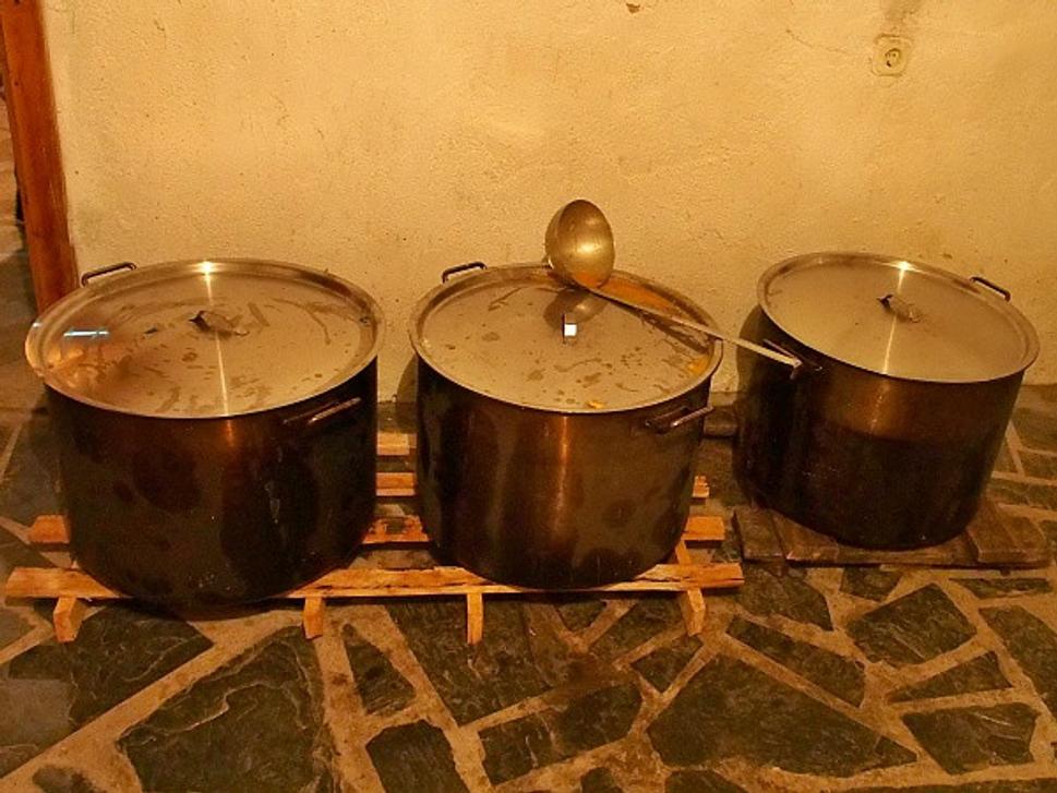 Fazuľa