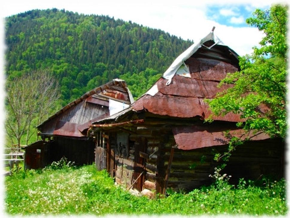 Obrázok blogu