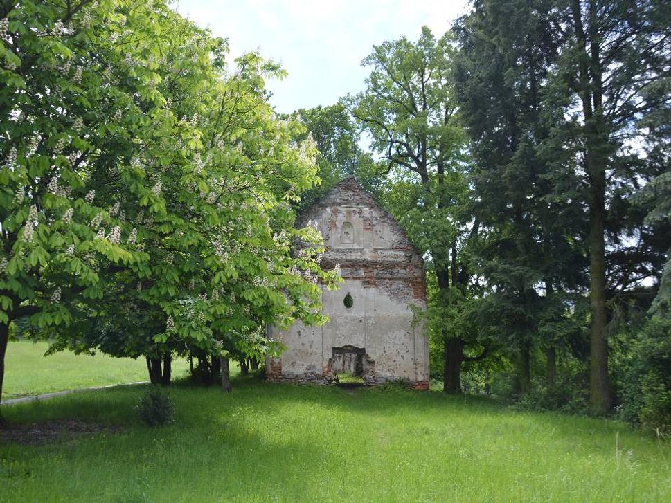 Obrázok blogu