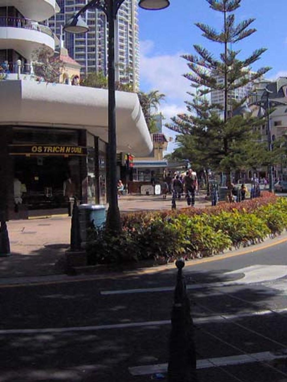 Orchard Rd.