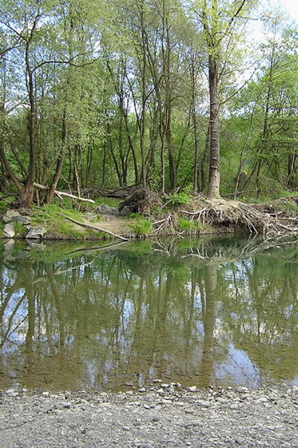 Obrázok blogu