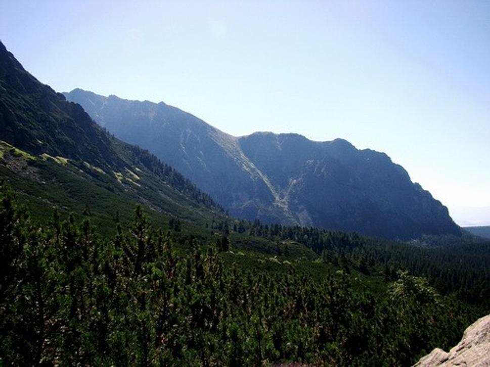Obrázok blogu