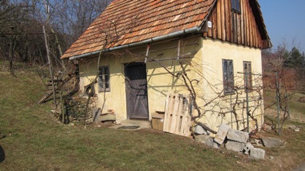 Obrázok blogu