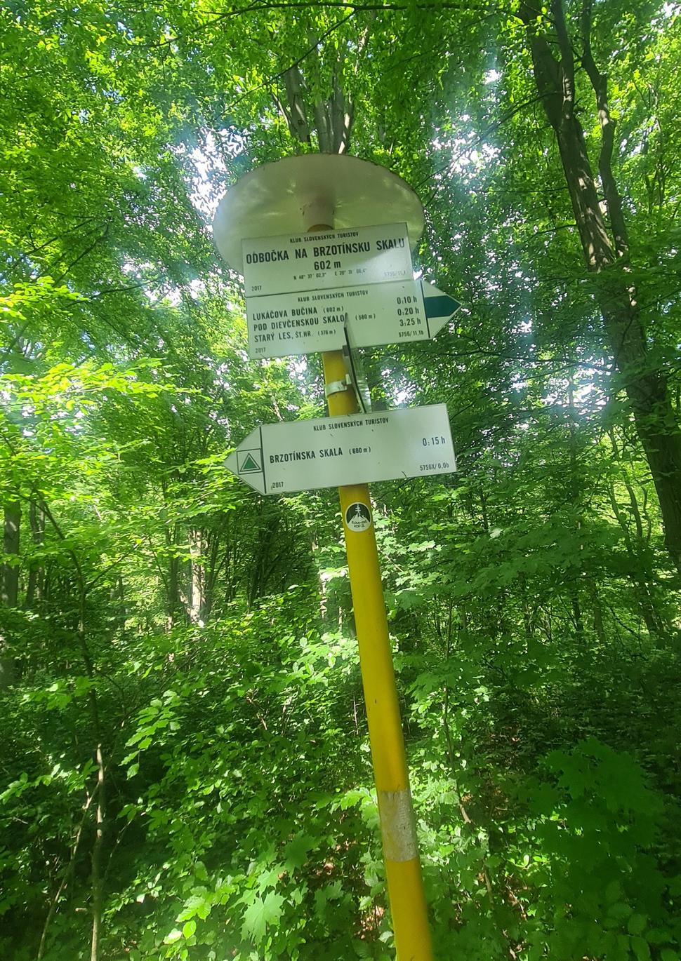 Odbočka na Brzotínsku skalu