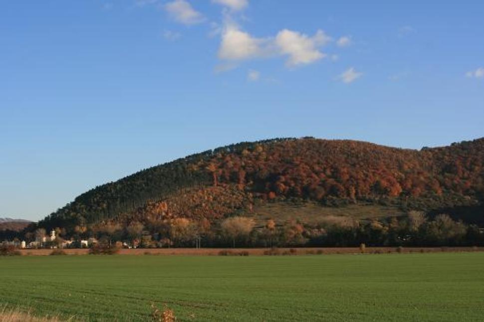 Obrázok blogu