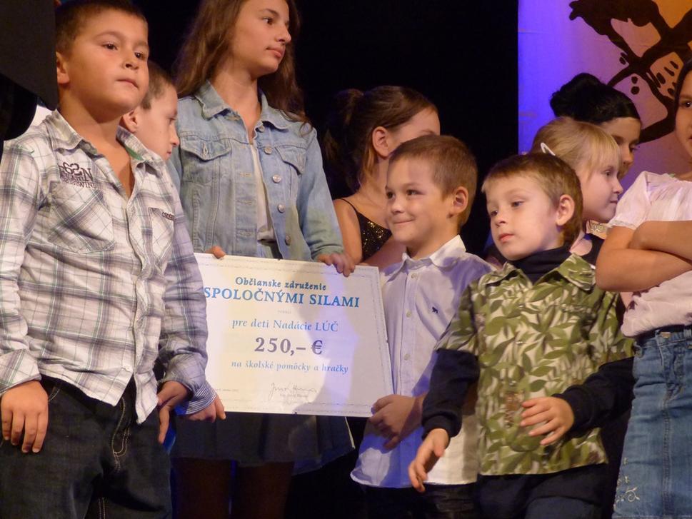 Šek zodpovedne prevzali tí najpovolanejší