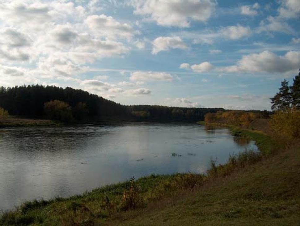 Obrázok blogu