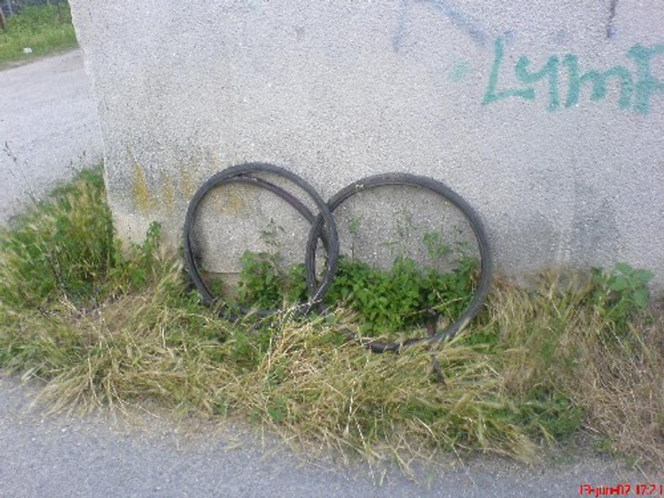 Obrázok blogu