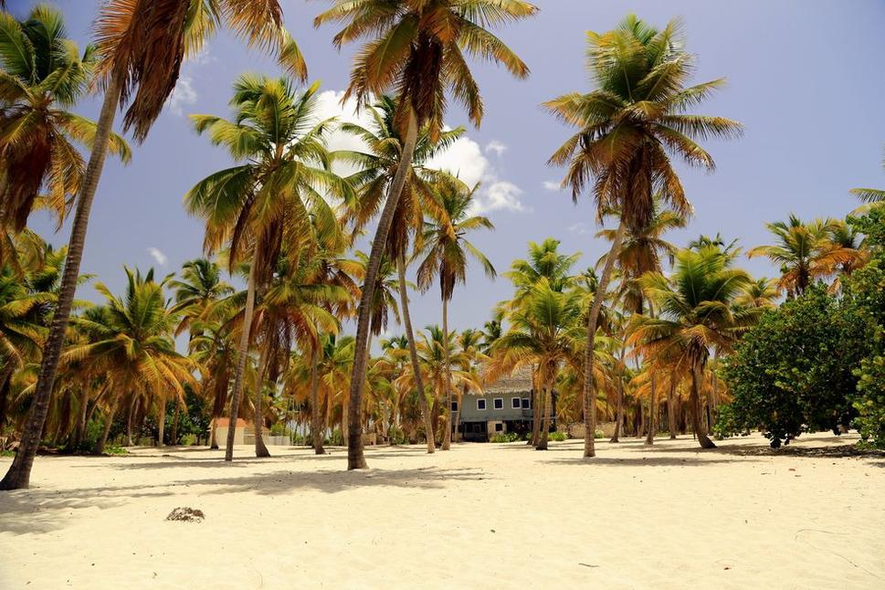 Isla Saona