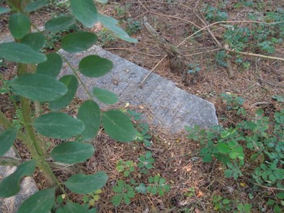 Obrázok blogu