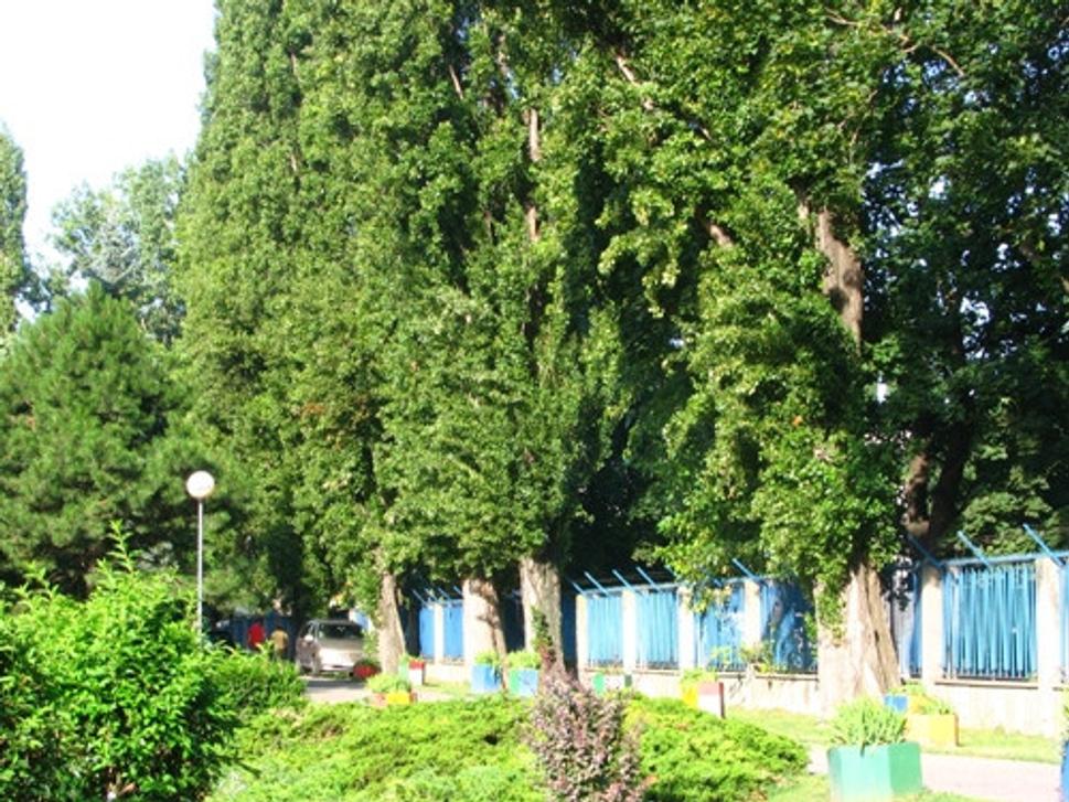 Obrázok blogu