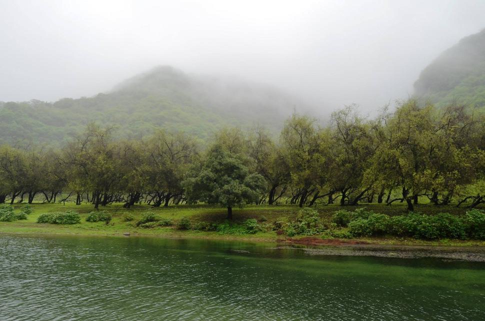 Wadi Darbat