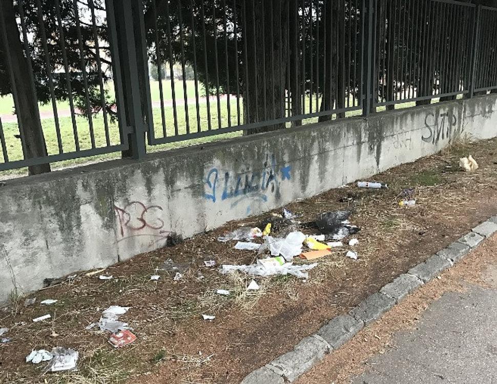 Odpad v zeleni. Podľa nahlasovateľky podnetu je dôvodom nedostatok odpadkových košov.