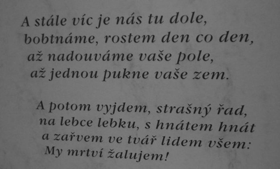 Obrázok blogu