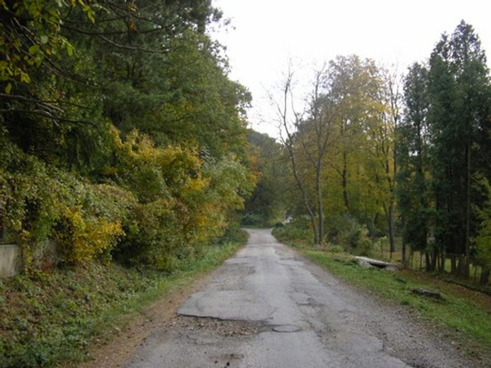 Obrázok blogu