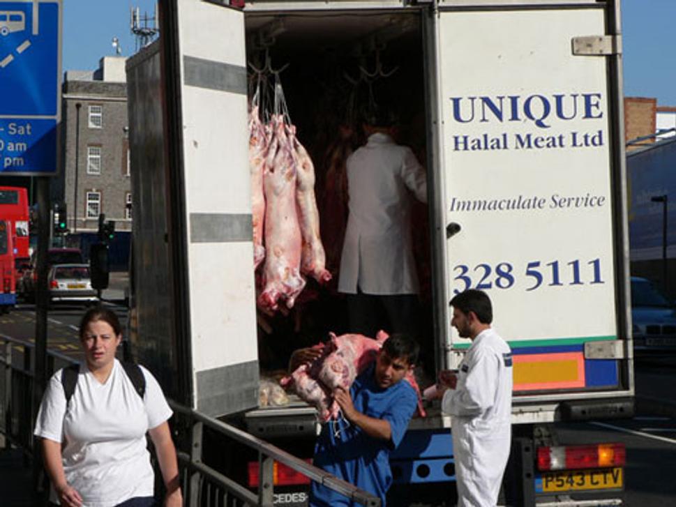 Halal Meat Restaurant v Cricklewoode