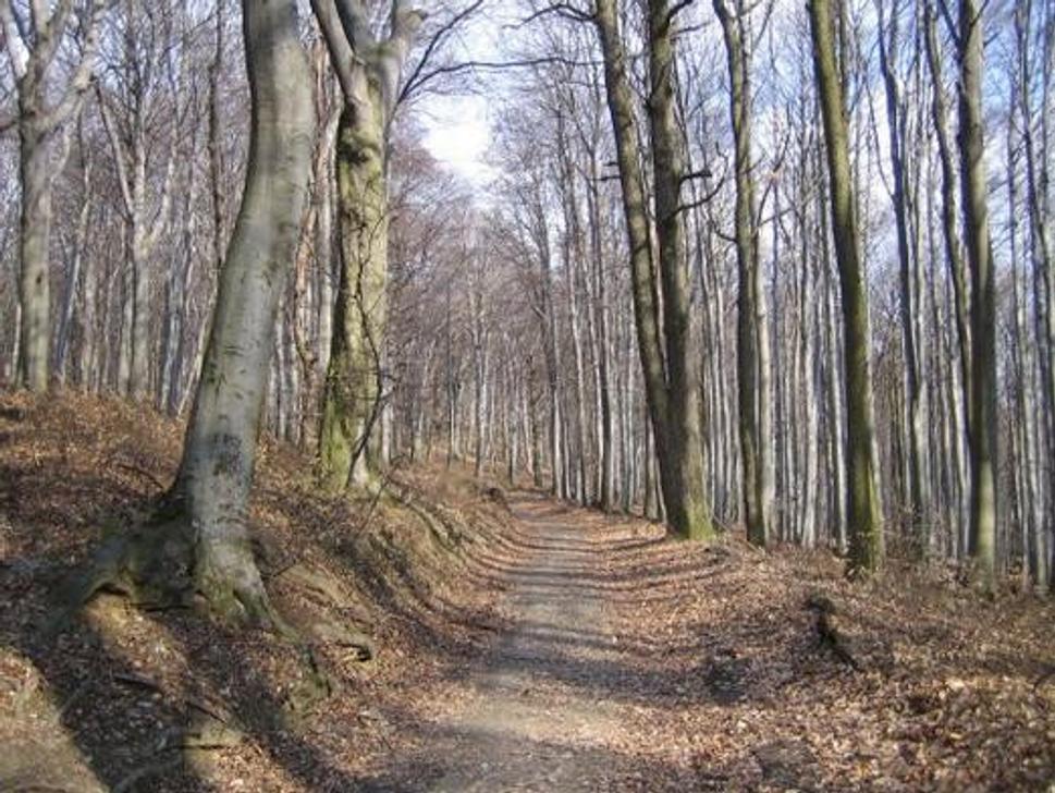 Obrázok blogu