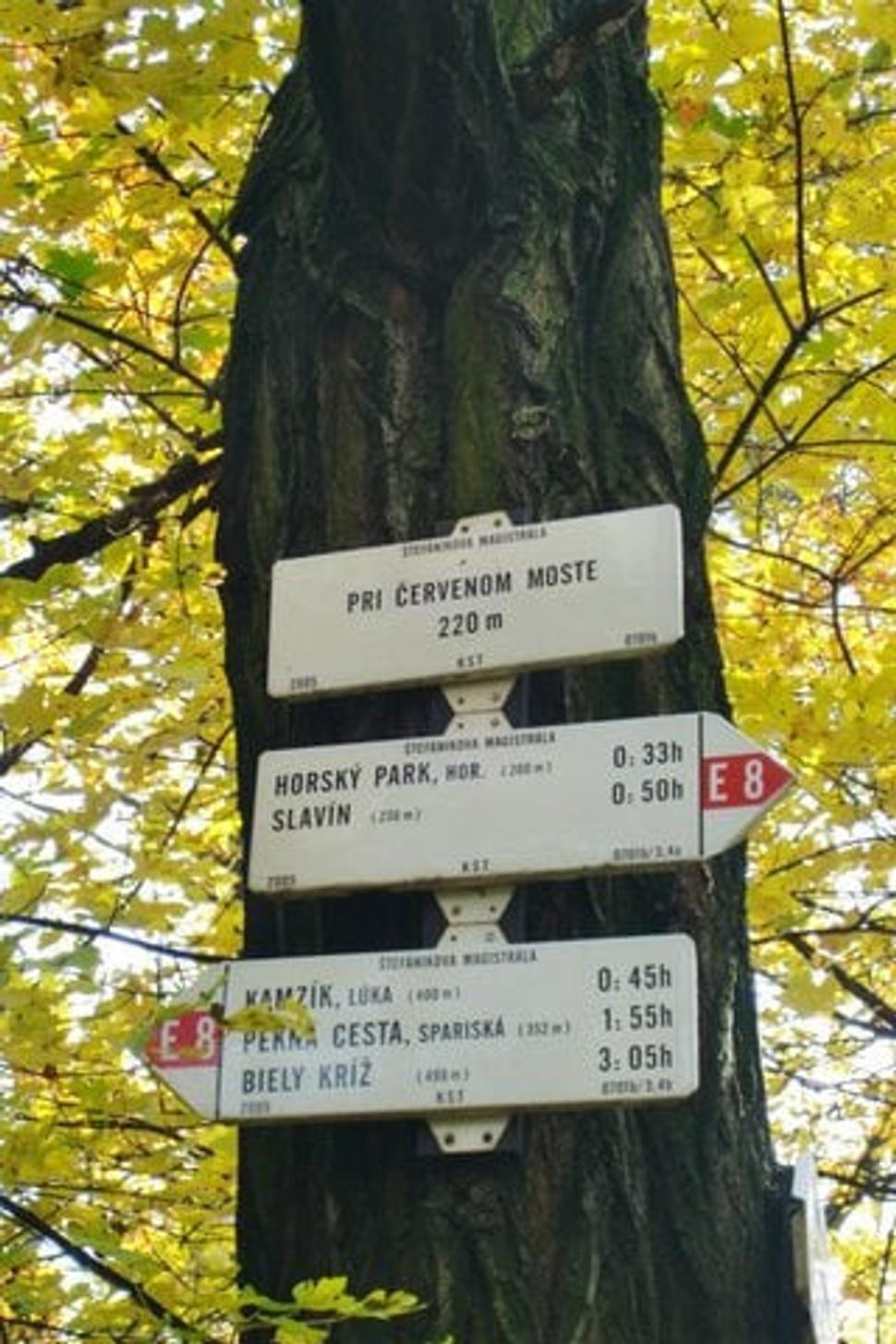 Obrázok blogu