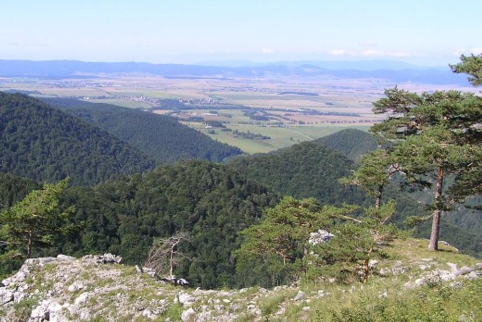 Obrázok blogu