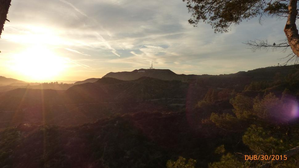 Hollywood Hills