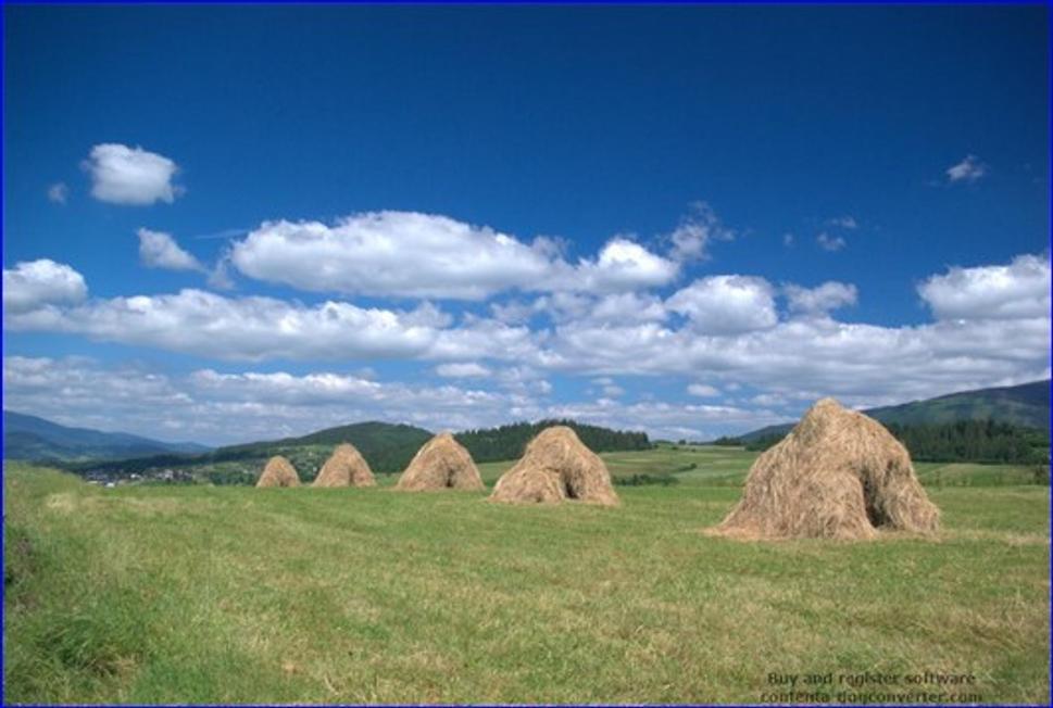Obrázok blogu