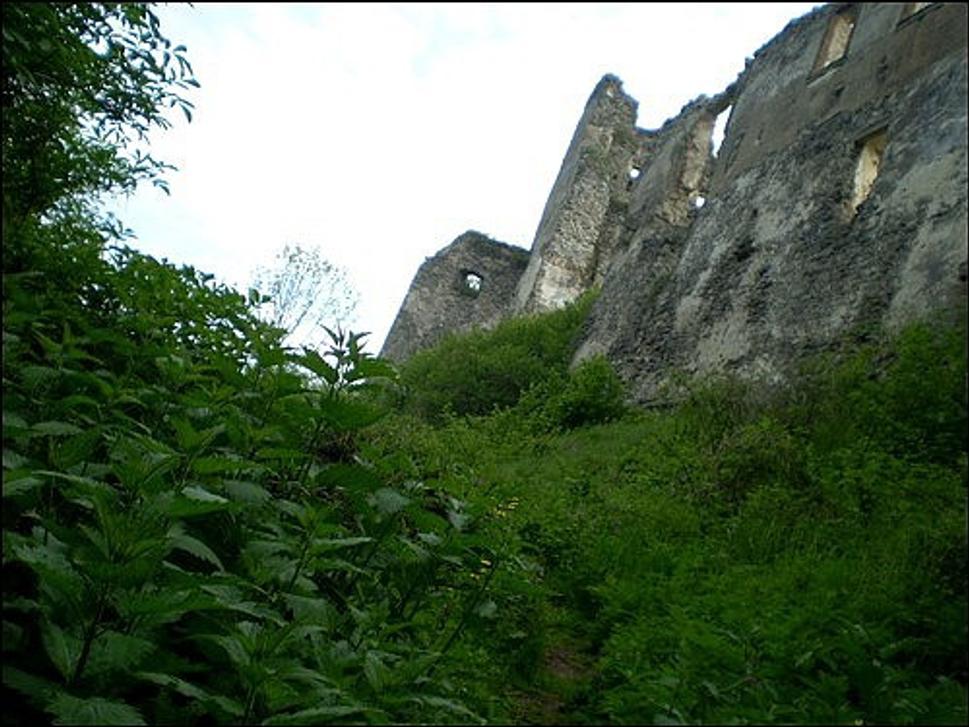 Obrázok blogu