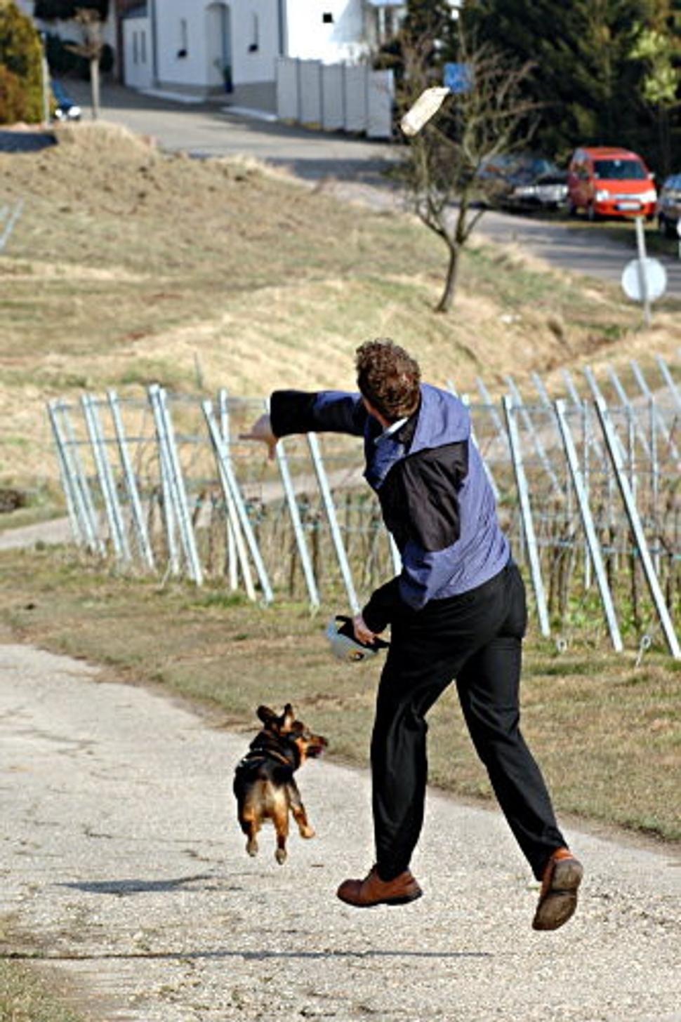 Obrázok blogu