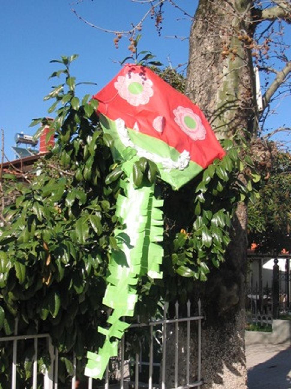 Obrázok blogu