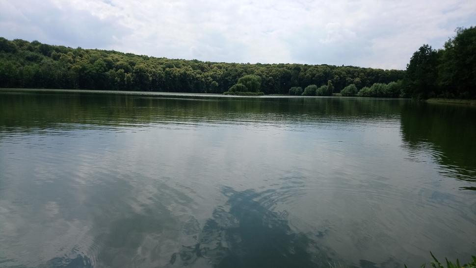Stěbořický rybník