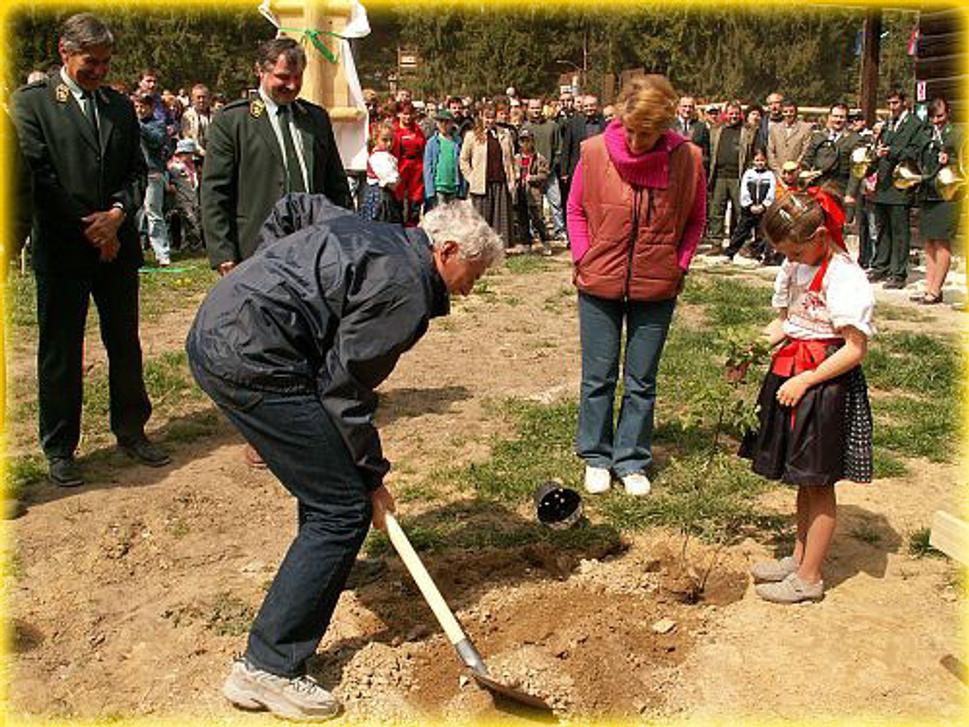 Obrázok blogu
