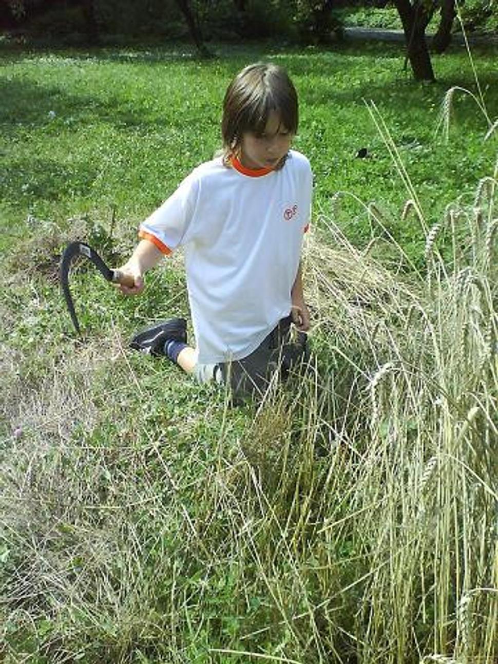 Filip