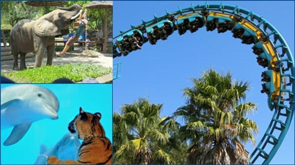 Six Flags