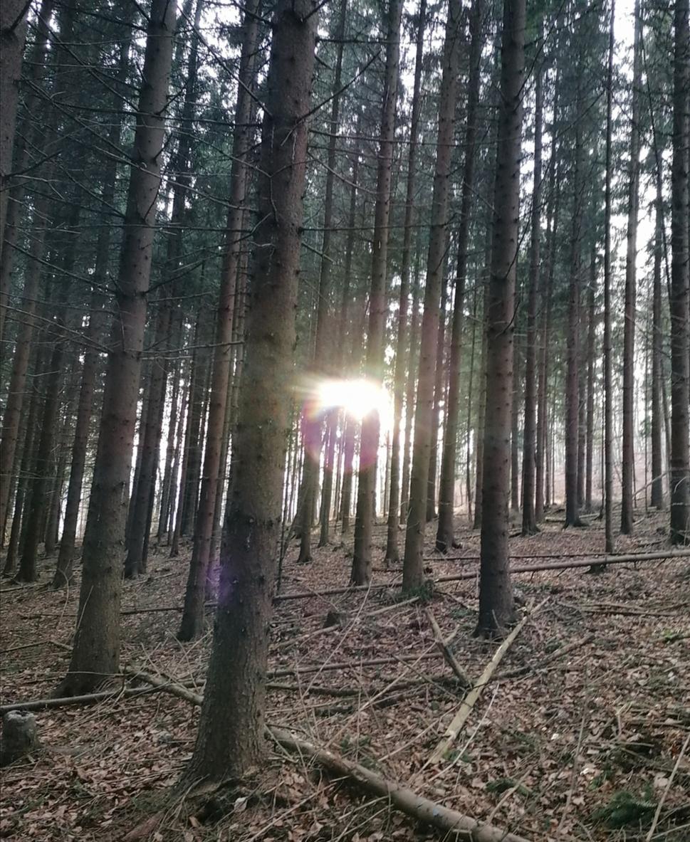slnko už pomaly zapadá