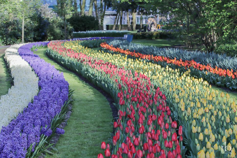 Kvetinová záhrada Keukenhof